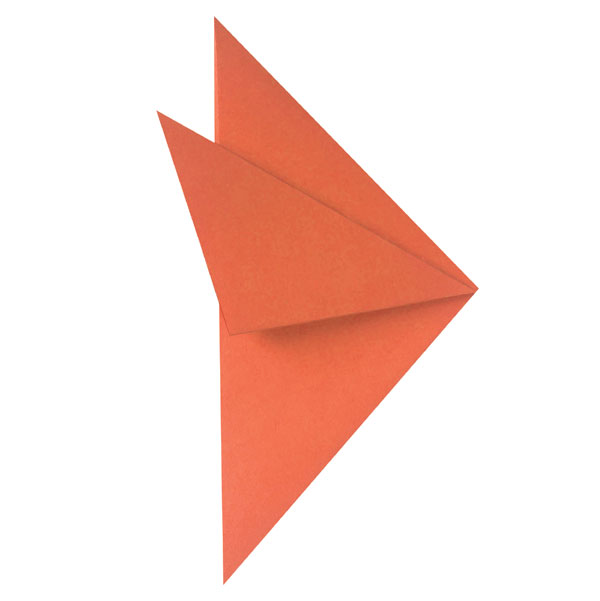 fish shape partially folded