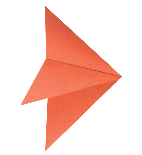 fish shape with tail